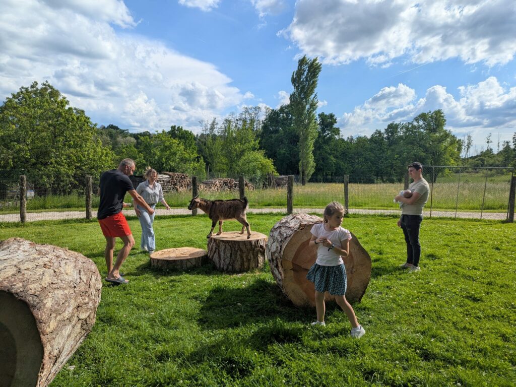 Des aménagements pensés pour le plus grand plaisir de nos chèvres : grimpettes, jeux et grands sauts garantis !